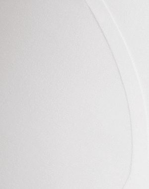Silhouette Brief