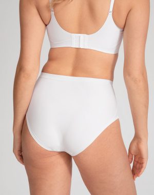 Silhouette Brief